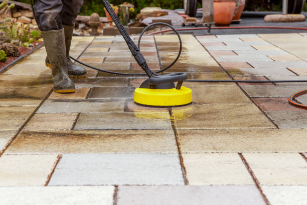 Best Rust Removal  in Minneota, MN